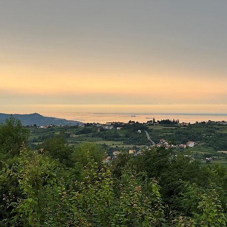 Guesthouse Green Istria Truške Zewnętrze zdjęcie