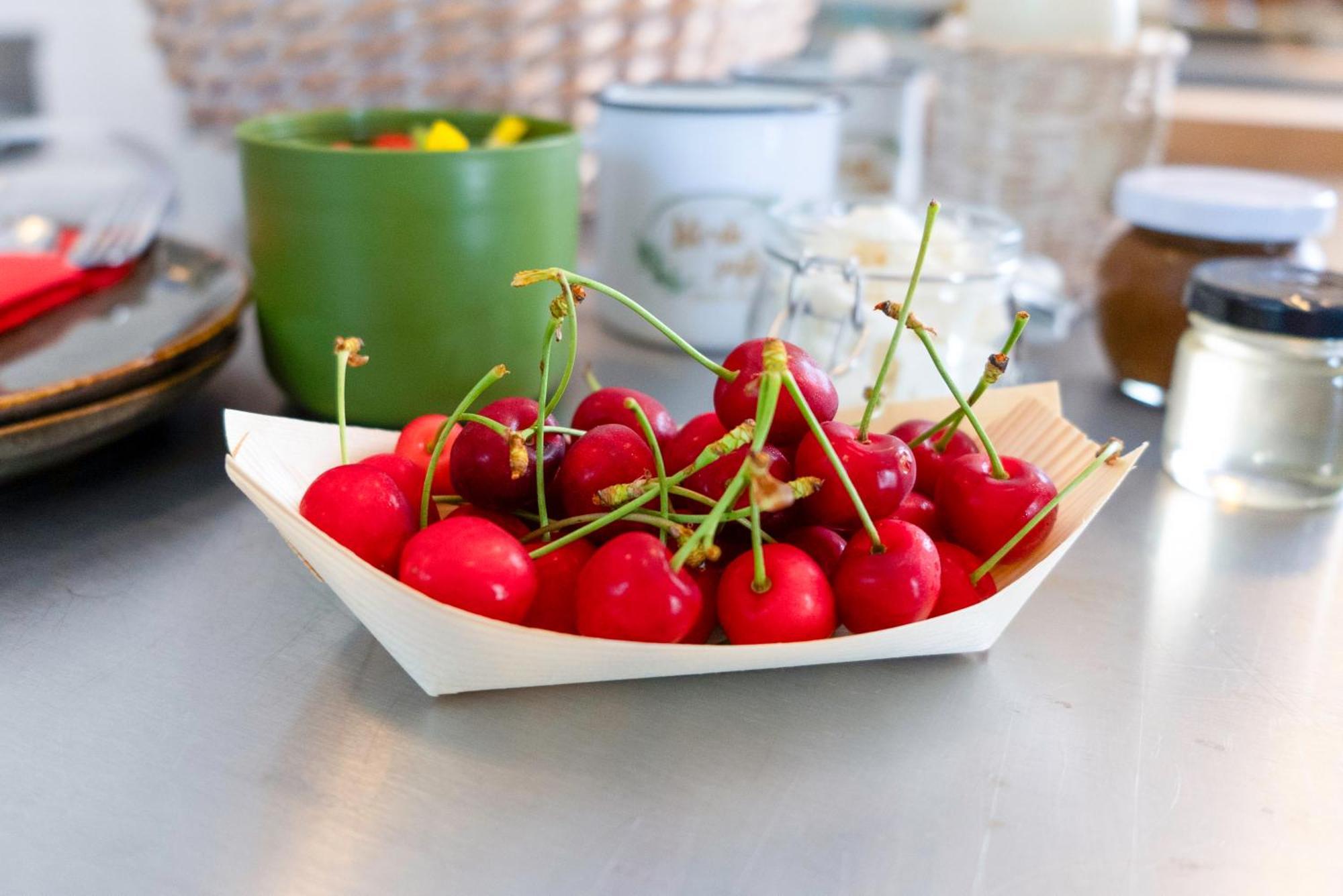 Guesthouse Green Istria Truške Zewnętrze zdjęcie