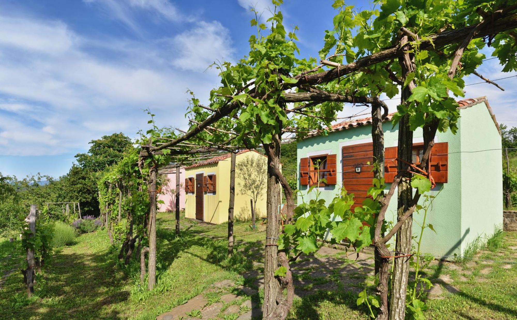 Guesthouse Green Istria Truške Zewnętrze zdjęcie