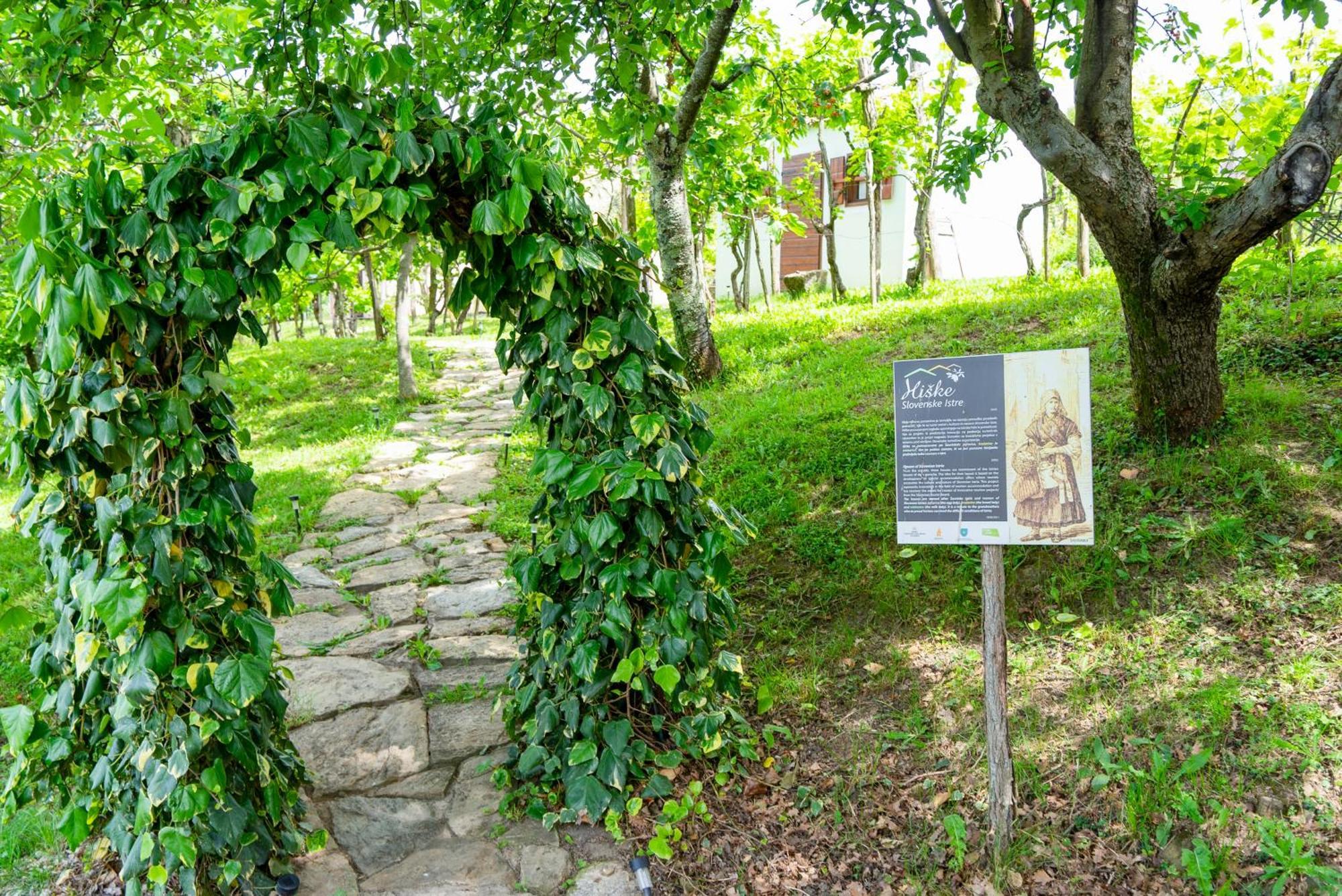 Guesthouse Green Istria Truške Zewnętrze zdjęcie