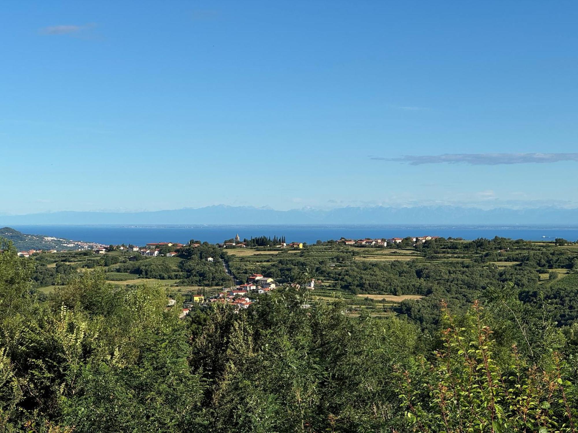 Guesthouse Green Istria Truške Zewnętrze zdjęcie