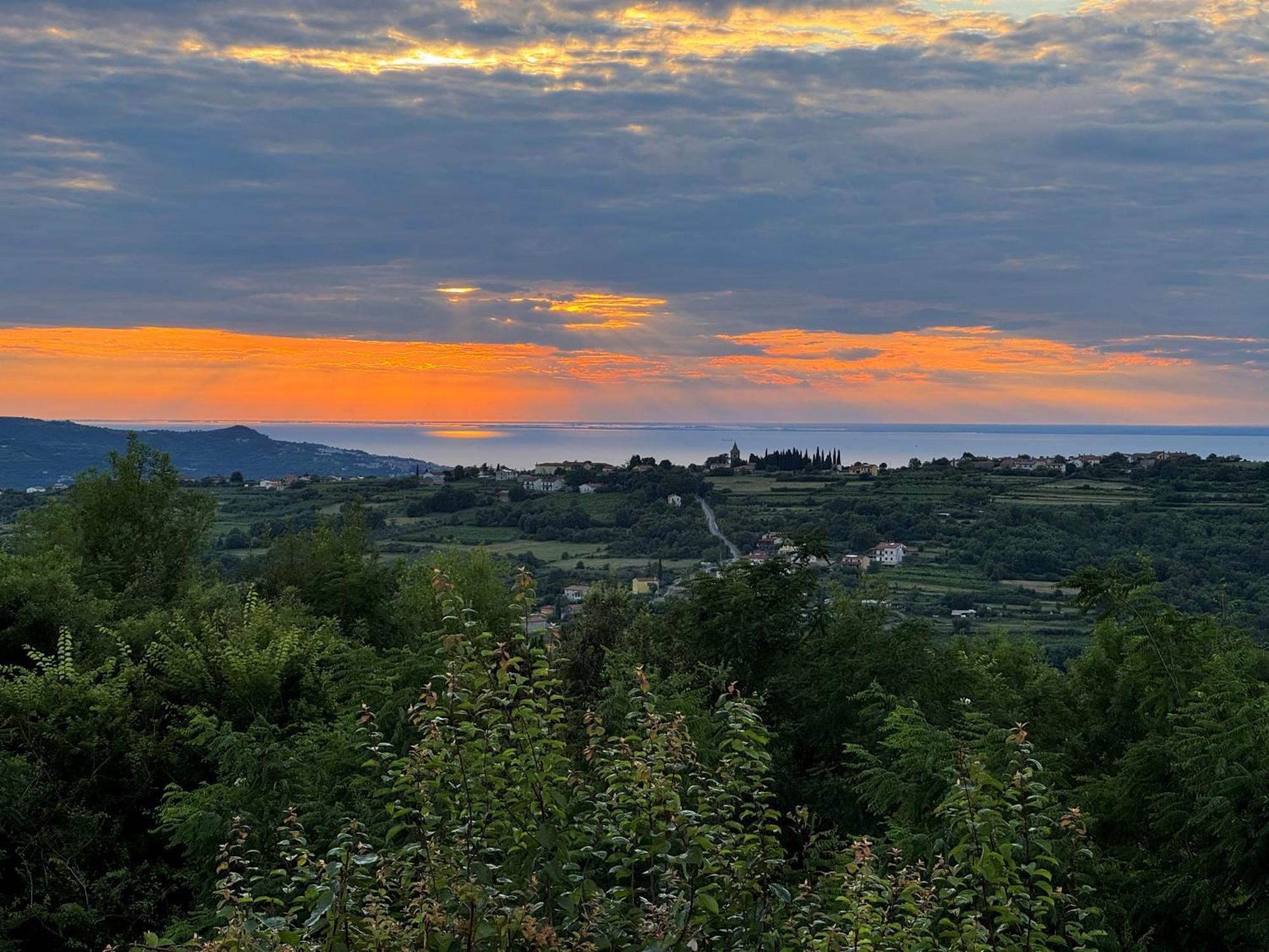 Guesthouse Green Istria Truške Zewnętrze zdjęcie