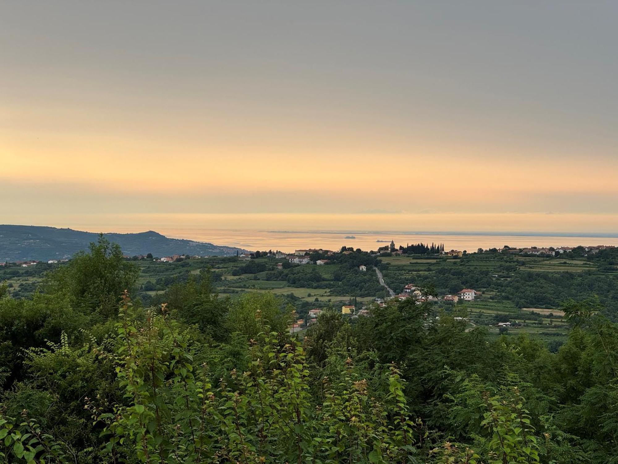Guesthouse Green Istria Truške Zewnętrze zdjęcie