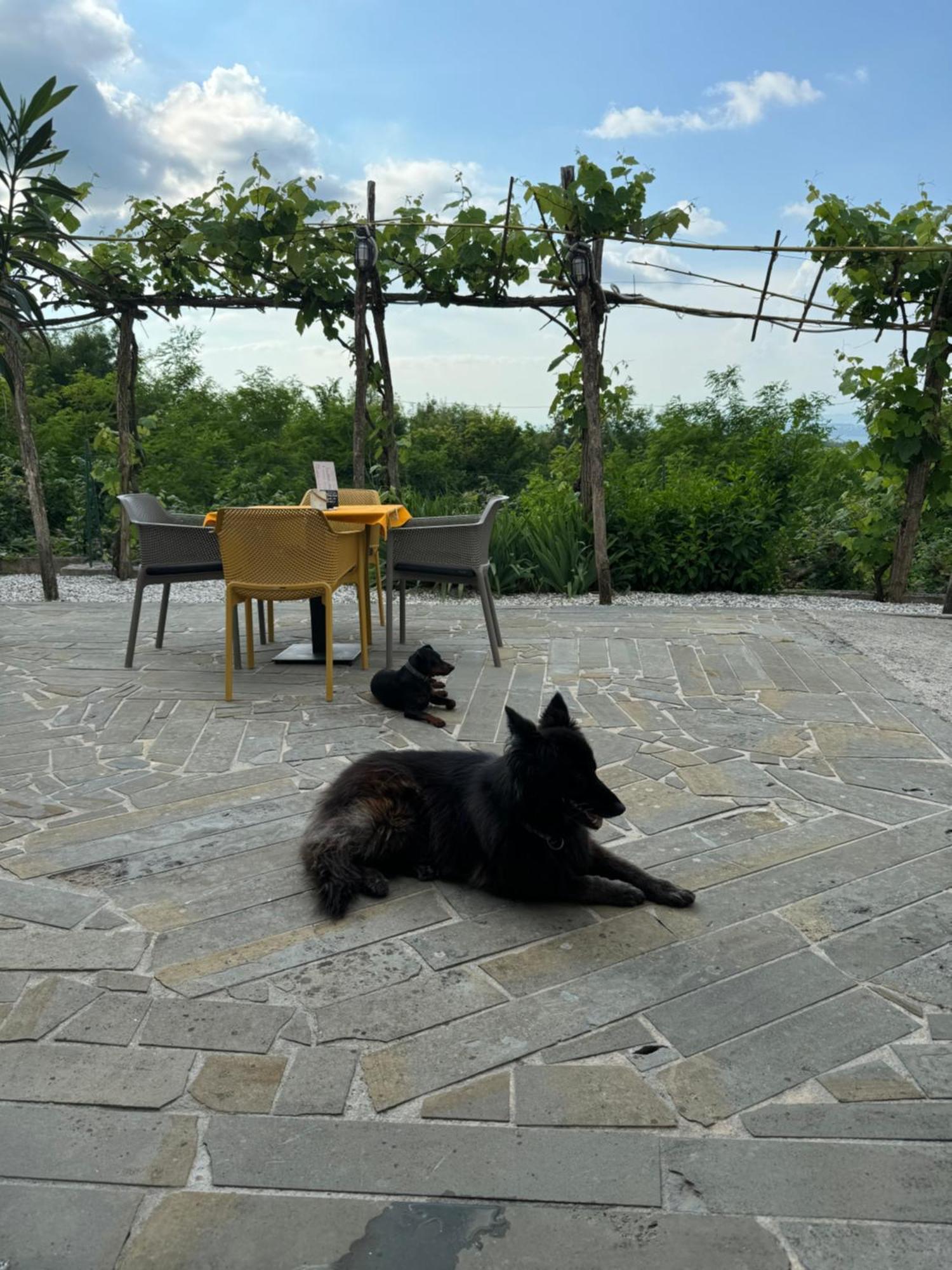 Guesthouse Green Istria Truške Zewnętrze zdjęcie