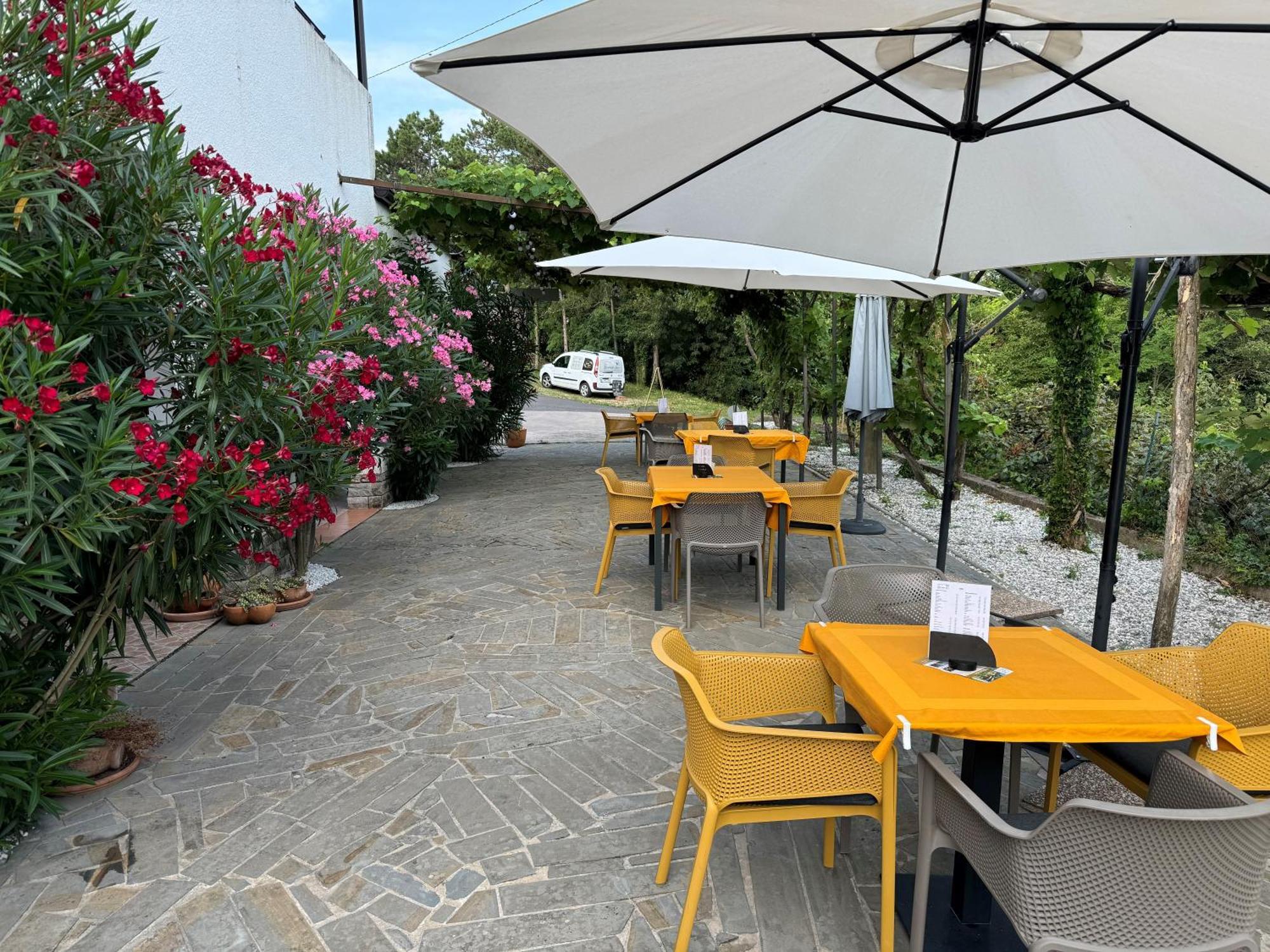 Guesthouse Green Istria Truške Zewnętrze zdjęcie