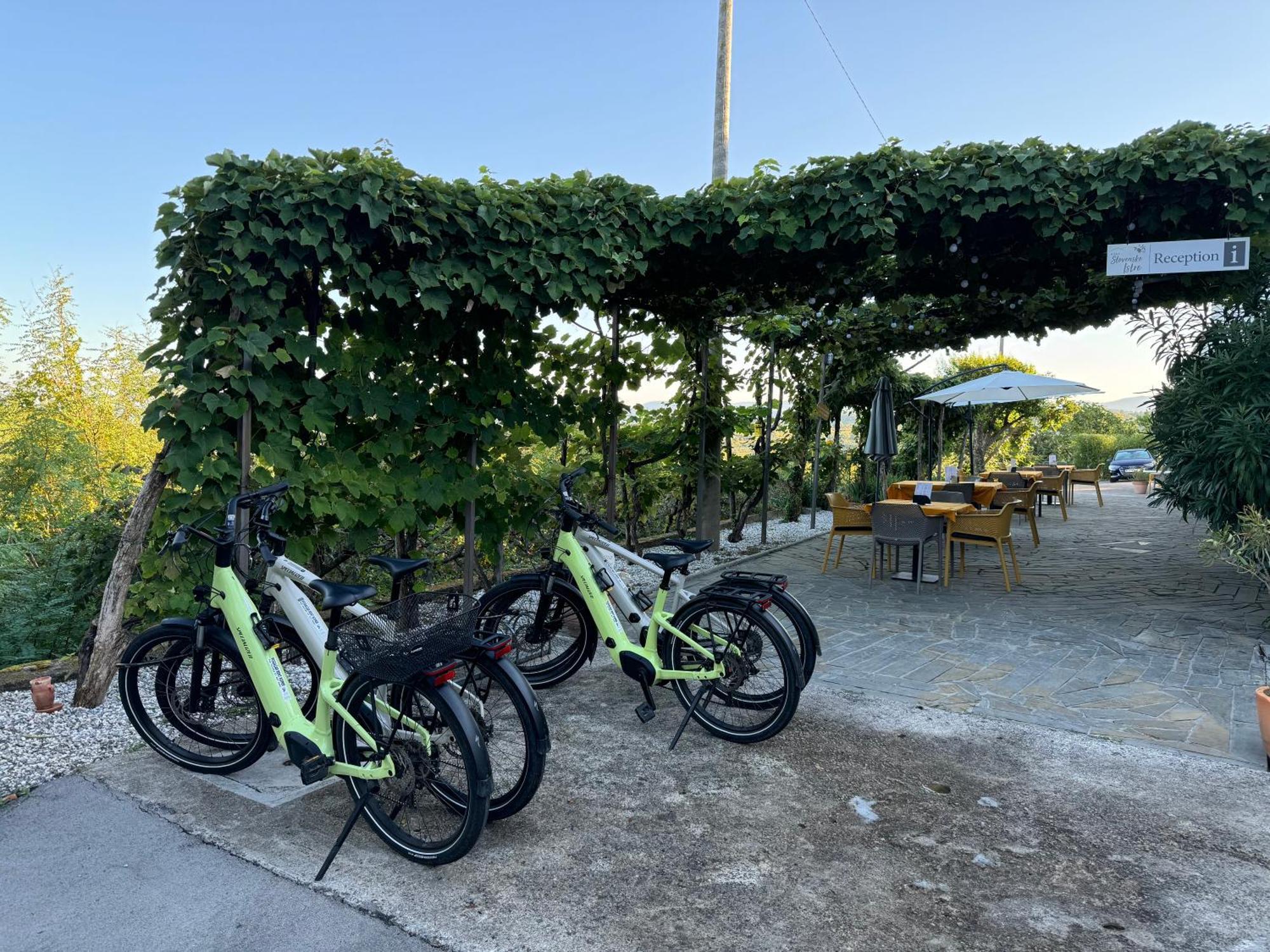 Guesthouse Green Istria Truške Zewnętrze zdjęcie