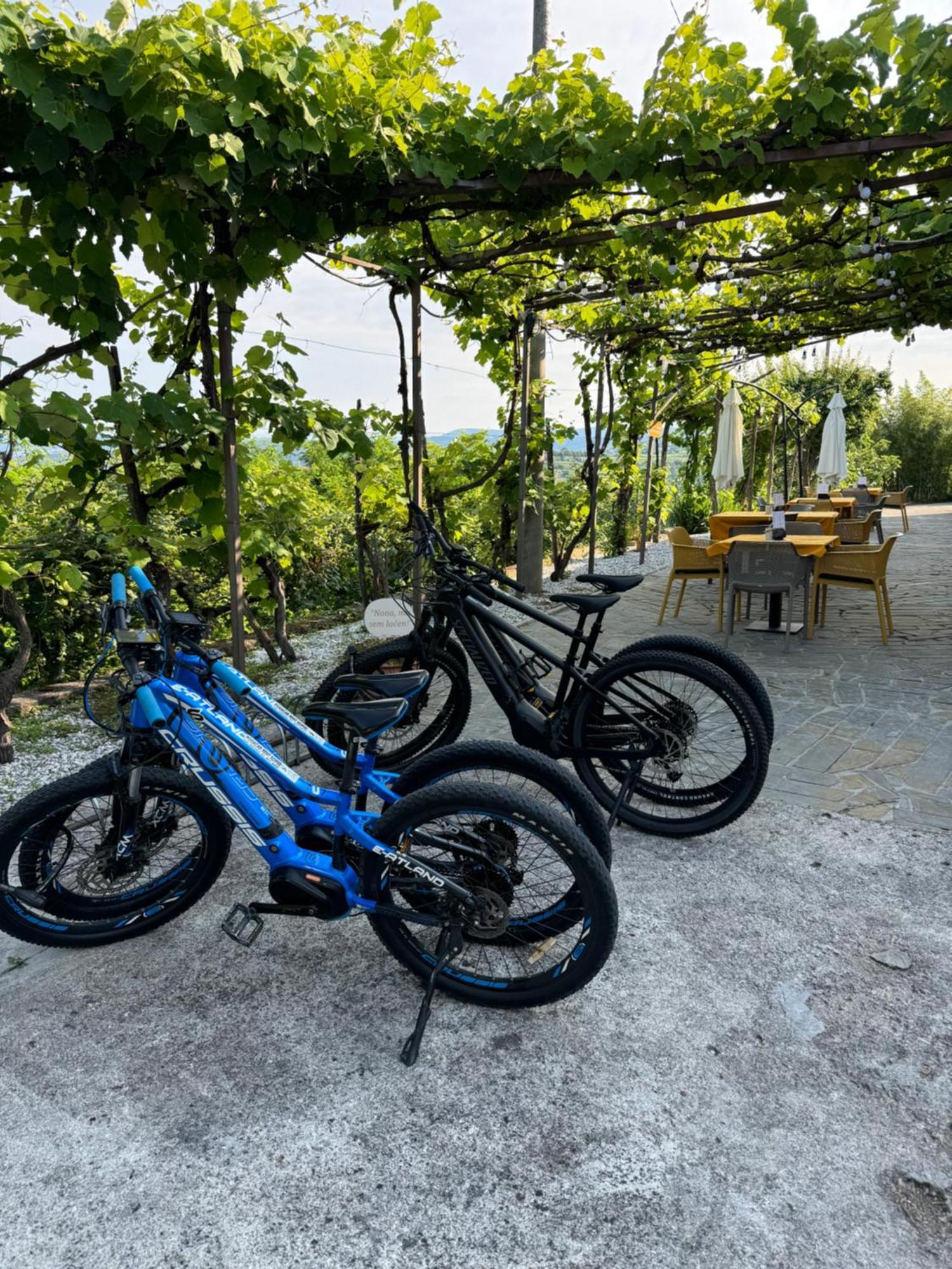 Guesthouse Green Istria Truške Zewnętrze zdjęcie