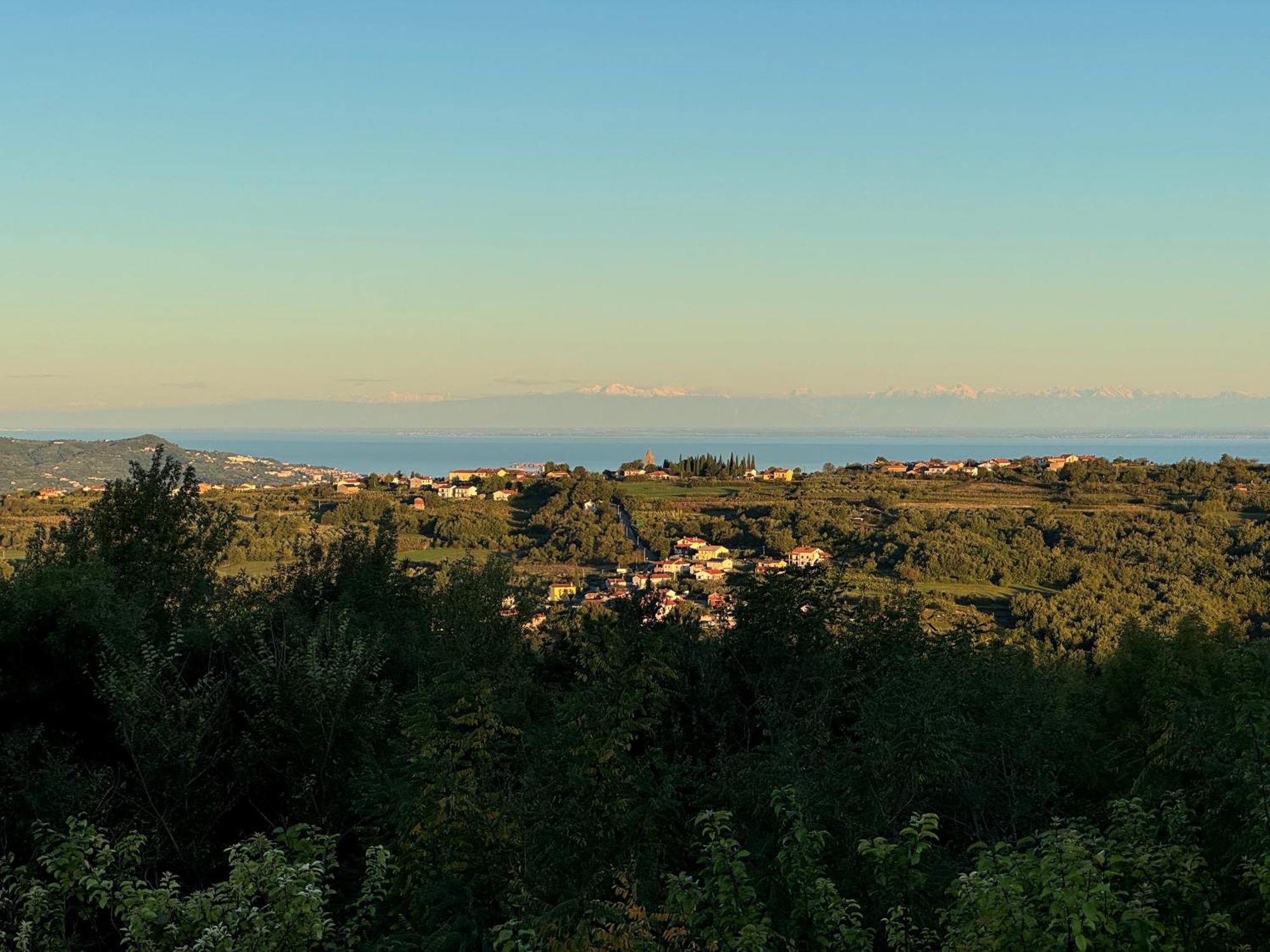 Guesthouse Green Istria Truške Zewnętrze zdjęcie