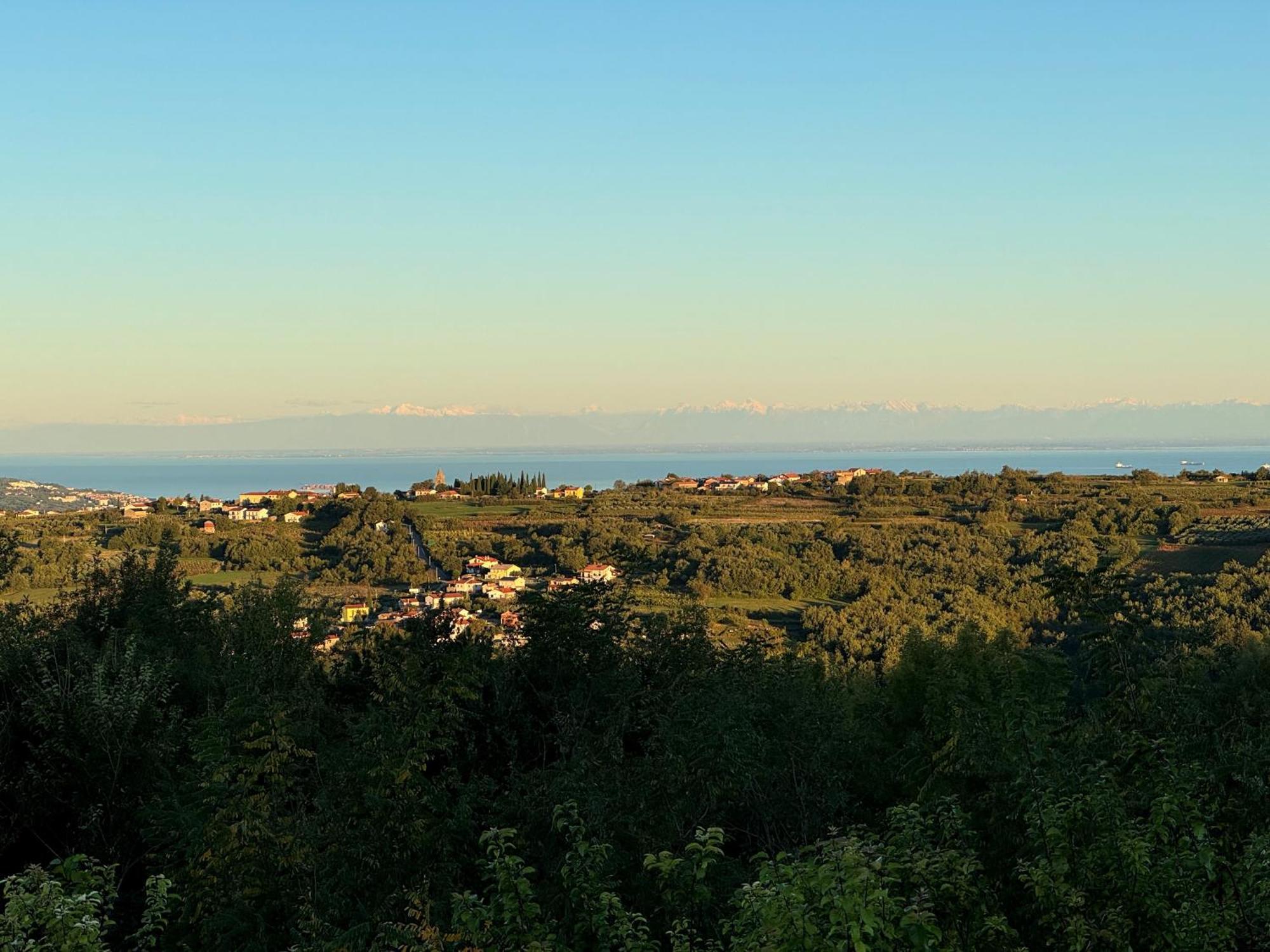 Guesthouse Green Istria Truške Zewnętrze zdjęcie